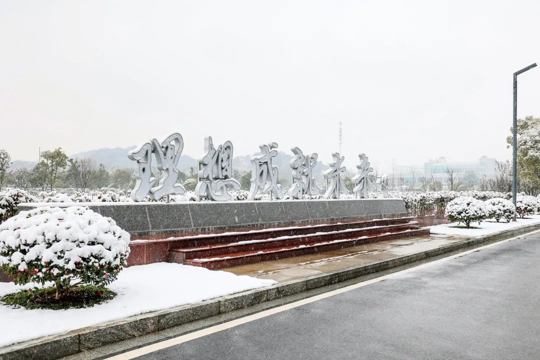 瑞雪兆豐年，邀您共賞雪中山河！