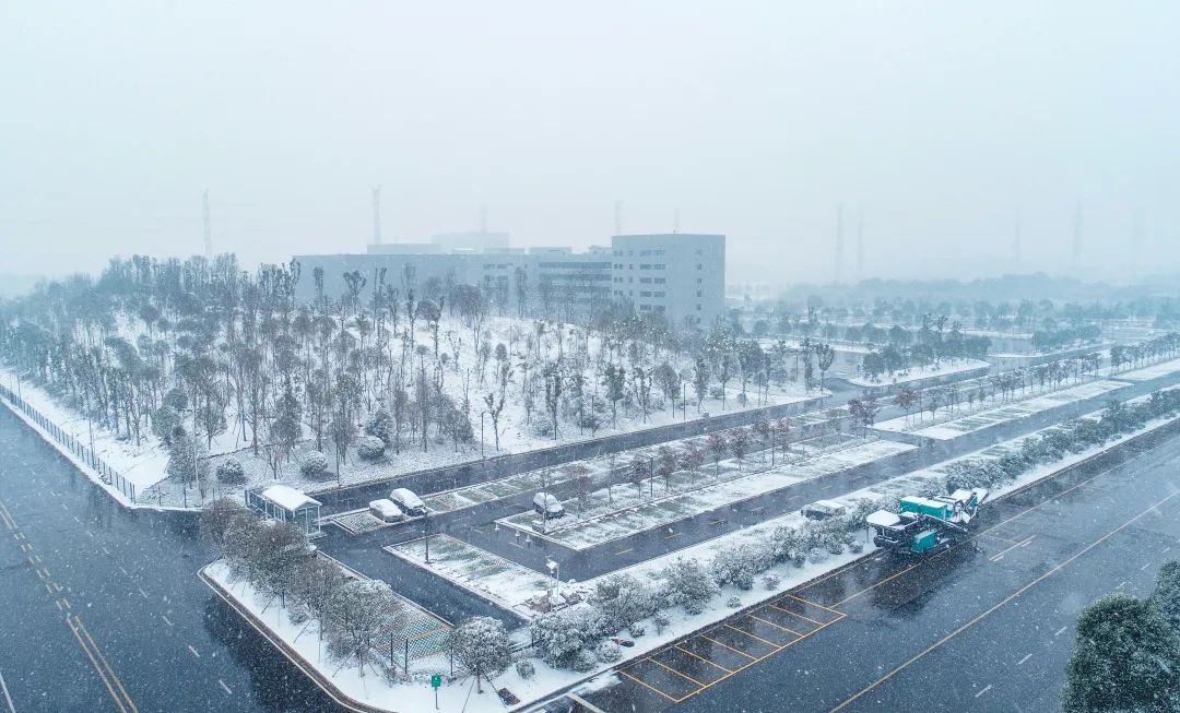 瑞雪兆豐年，邀您共賞雪中山河！